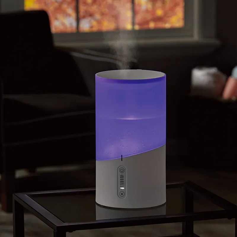 What type of home humidifier system is best for my home?