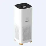 What are the types of air purifiers