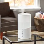 Quel est le meilleur endroit pour placer un humidificateur à vapeur froide populaire ? 