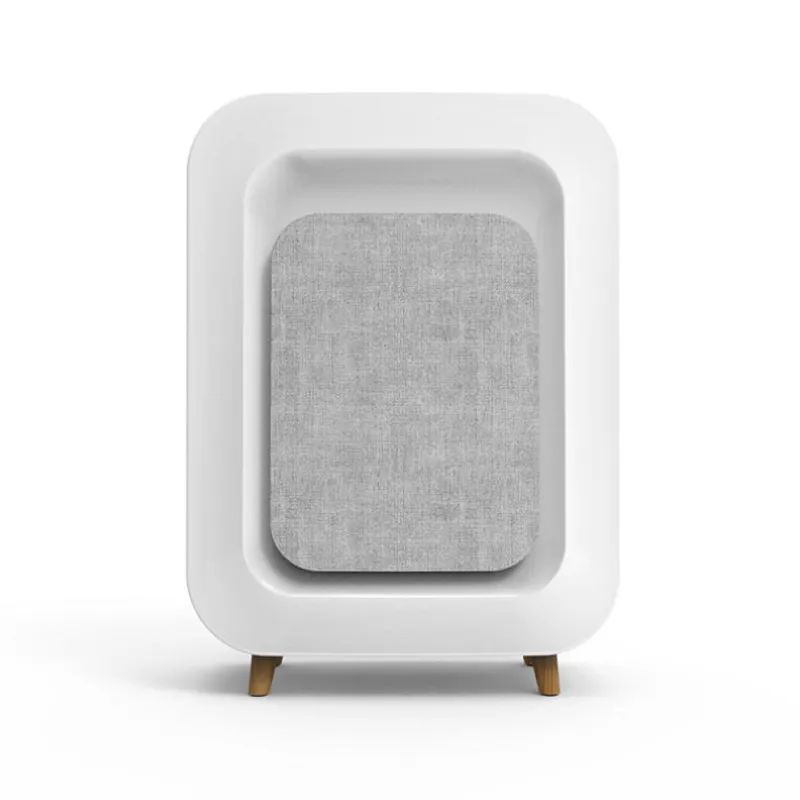 Air Purifier Usage Scenarios